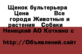 Щенок бультерьера › Цена ­ 35 000 - Все города Животные и растения » Собаки   . Ненецкий АО,Коткино с.